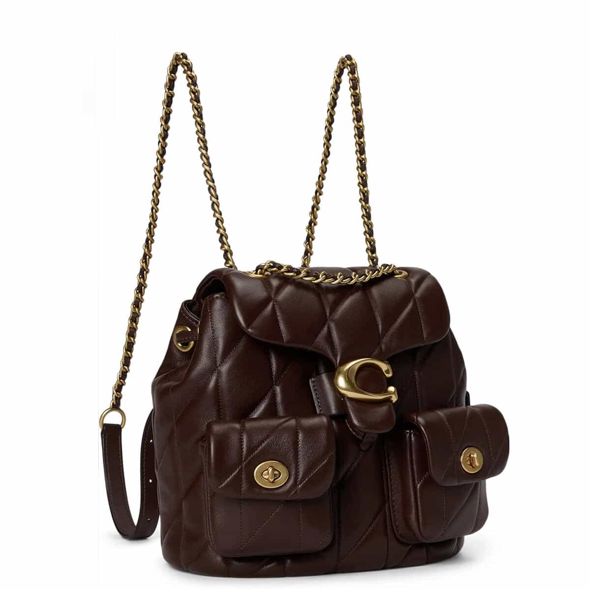 コーチ職 背嚢 レディース 背嚢 好いたらしいめ 小さめ ブランド名 軽さ 今めかしい COACH