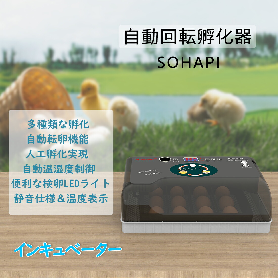 楽天市場】【送料無料】LifeBasis 自動孵卵器 インキュベーター