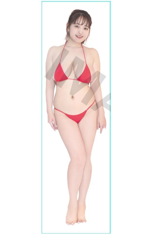 楽天市場】WHITE ALBUM2 抱き枕カバー 小木曽雪菜 ＆ 冬馬かずさ