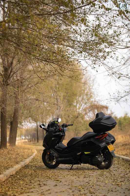 バイクテール ボックス Fossa 350 3 ボックス サイド テール リアラゲッジ バイク 改造 パーツ