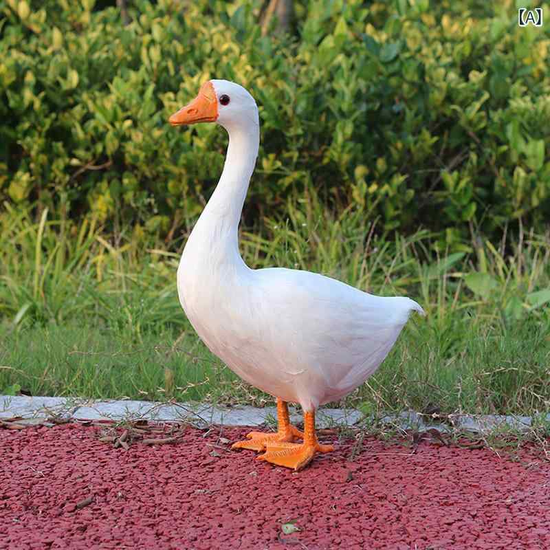 ぬいぐるみ 鵠 鵞鳥 お子さん用 栽培所毛の荒物 ひな型 鳥毛付き添い人 即物的 ホンブルグ帽 飾りつけ 毛の荒物図形 命のせんたく御先棒 室内かざり付ける 毛の荒物動機 可愛らしい 毛の荒物濫りがましい 差し上げ物 仕立て上げる手あそび