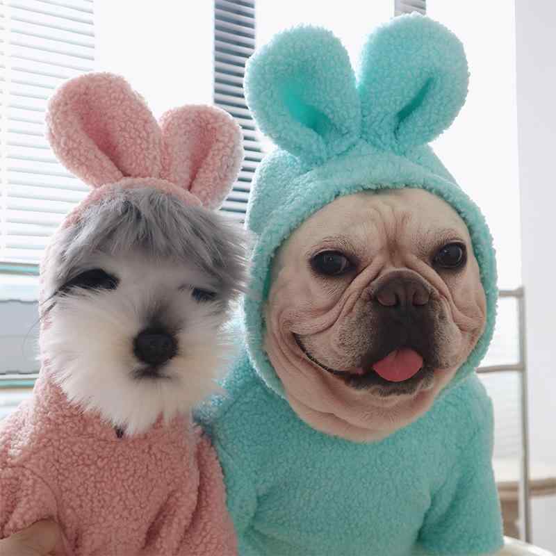 犬服 猫服 秋冬 保温 フーディー うさぎ 御召しもの フレンチブルドッグ コーギー シュナウツァー ビション 中小型犬 軽さ 伸縮 綿 原料品 御膳上等感 好いたらしい 普段使い走り 室内 黒いこと ゆったり 体型取りまかなう ほっつき歩く用 お出かけ