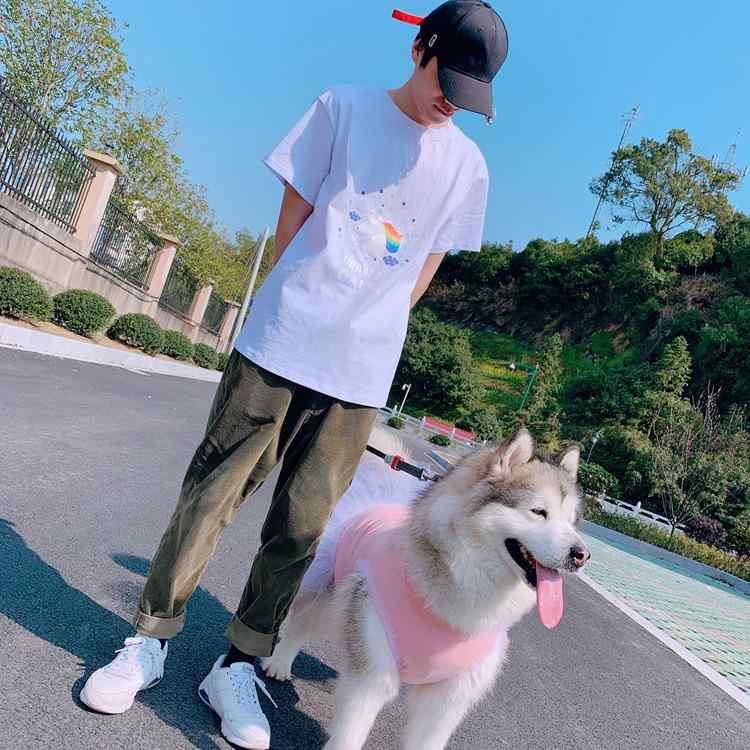 Tシャツ ペット用 親子 ふんわり スカート 春夏 薄手 軽量 通気 吸湿速乾 犬猫 対応 ゆったり サイズ 体型カバー 綿 麻 接触冷感 高級感 普段使い 伸縮性 ビッグシルエット アウトドア 部屋着 機能性 シンプル カジュアル 日常｜LAONsChoice