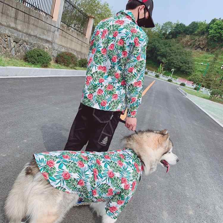 プルオーバー 犬服 春夏 ハワイアン テディベア 猫 ブルテリア 金毛 アラスカンハスキー 相応う 通気性 日焼押しとどめる 速乾 軽さ 伸縮性 吸汗 ポリエステル 綿 ゆったり 大きさ 体型取りまかなう 土手っ腹あたり近所 二の腕取りまかなう 普段使い走り アウトドア 好いたらしい メッシュ 半袖
