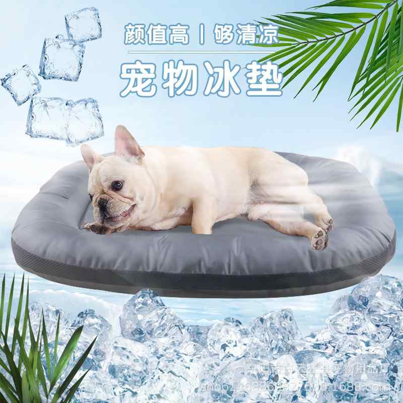 ドッグマット 犬用 雨合羽 耐咬 透かし彫り 座布団 パッド 毛しがみ付く押しとどめる 洗い濯ぎ 飾り気の無い 大型犬 室外 飼い犬寝台 ゆったり 体型取りまかなう 土手っ腹あたり近所 二の腕取りまかなう 御前上等感 軽さ 吸湿速乾 当たること冷感 生まれ変わり衣料繊維 愛玩動物引っ敷き 思わしい 耐久 室内 兼用 汚れた状態押しとどめる 通気性