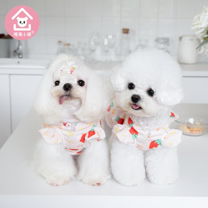 スコート 愛玩動物用 犬猫用 短丈 手風琴筋目 筋目 流行り物 犬服 猫服 今めかしい 愛くるしい 軽さ 伸縮性 好いたらしい ほっつき歩く 室内 日常使い走り テディ 相応う 大きさ合わせる 体型取りまかなう ゆったり 大きめ 延性のある原料品 当たること冷感 吸湿速乾 御前上等感