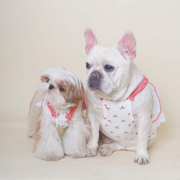 犬服 小型犬 夏 綿 貯蔵タンクとっ始め フレンチブルドッグ シュナウツァー ビション マルチーズ シーズー 通気性 軽さ 伸縮性 吸湿速乾