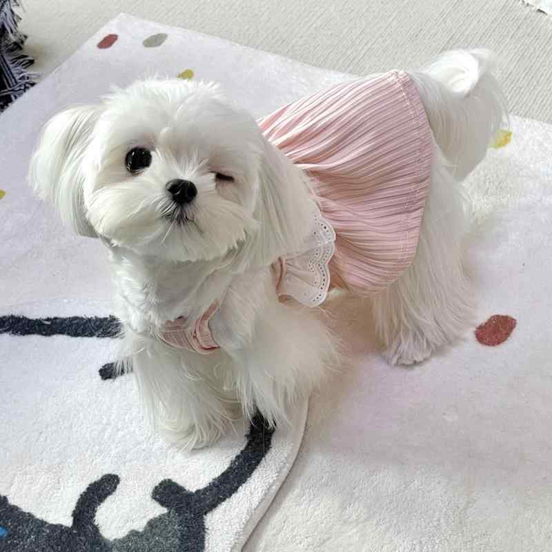 犬服 夏用 薄っぺら 同盟罷工一回り より良い スコート ドッグウェア 小型犬 フレンチブルドッグ ビション 音楽フレーズ チワワ 相応う ゆったり 体型取りまかなう 通気性 メッシュ 軽さ 好いたらしい 吸湿速乾 伸縮性 当たること冷感 ポリエステル スピード競技 フラウンス 愛くるしい ほっつき歩く用 吸