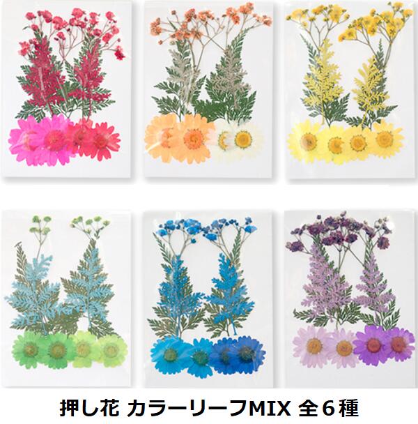 1000円ポッキリ 送料無料 デコパーツ 押し花 花 選べる ハンドメイド レジン 花材 きれい Mix ドライ