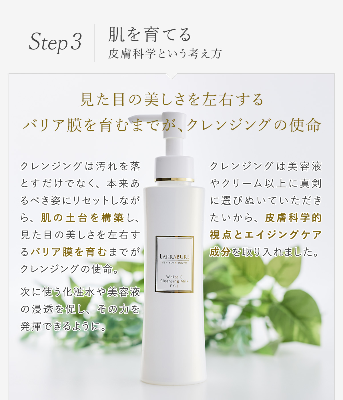 ヒト幹細胞パック×4、美白クレンジング×2＋おまけサンプル ヒト幹細胞パック×4、美白クレンジング×2＋おまけサンプル ヒト