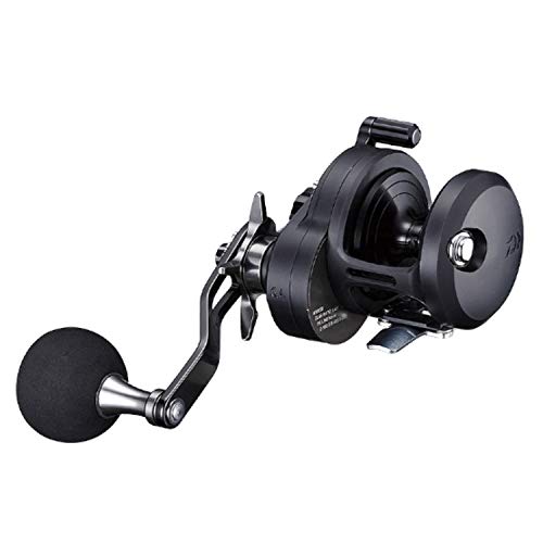 【マラソン最大46倍】ダイワ(DAIWA) ベイトリール 19 キャタリナ 15H (2019モデル) 25,889円