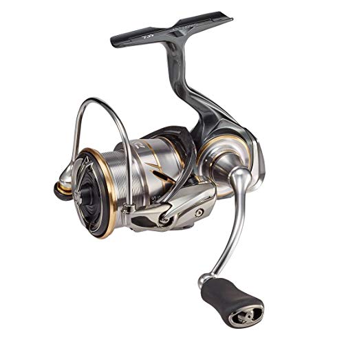 【マラソン最高限度46倍】ダイワ(DAIWA) スピニングリール 20 ルビアス FC LT2500S (2020模範例) リール本体-リール