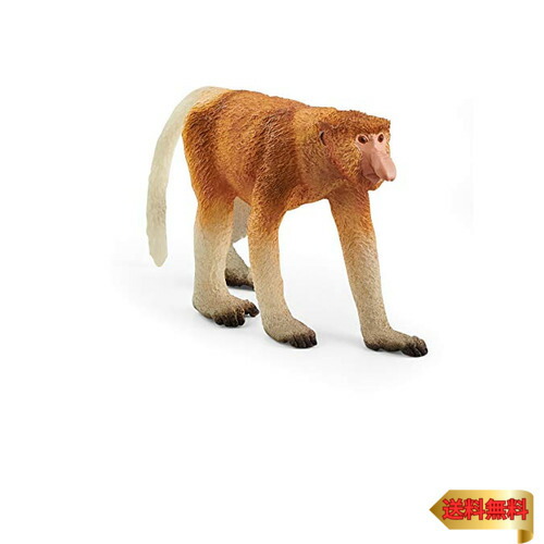楽天市場】カンガルー 14756 動物フィギュア ワイルドライフ