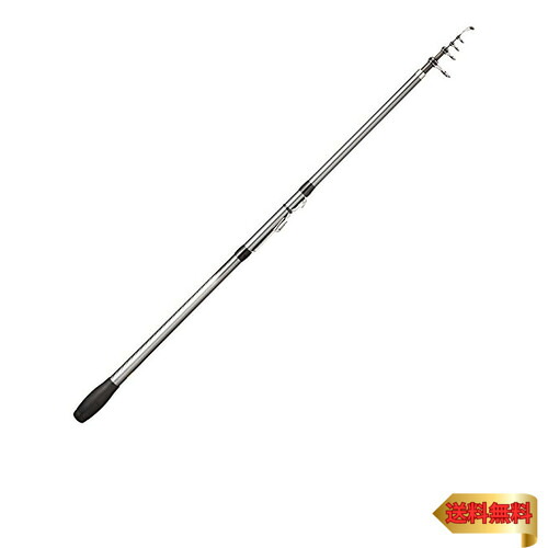 シマノ(SHIMANO) ロッド 投げ竿 17 ホリデースピン ショートモデル (振出) 275GXTS ライトな投げ釣り用 全長2.75m 自