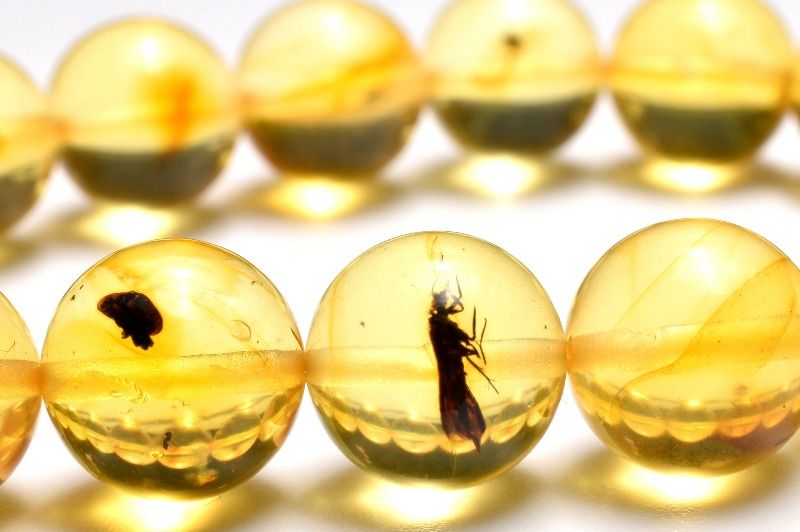 【１点物】全粒内包☆限定入荷！ 虫入り琥珀アンバー　9.5mm ブレスレット アクセサリー _MC5040｜天然石　パワーストーン　ラトリエ