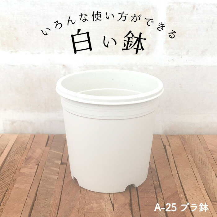 【4月30日付け替え】2026母の日差し上げ物度合い