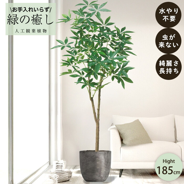 【メーカー直送】 フェイクグリーン パキラ ポット付き 185cm 大型 高級 室内 人工観葉植物 屋外不可 acs 26,255円
