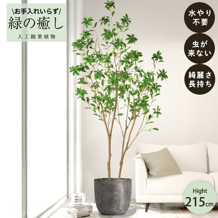【メーカー直送】 フェイクグリーン アセビ ポット付き 215cm 大型 高級 室内 人工観葉植物 屋外不可 acs