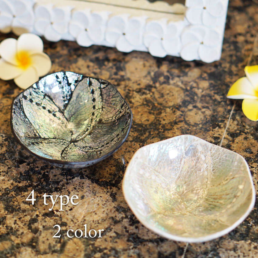 楽天市場】小物 トレイ シェル 貝殻 8cm～9.5cm 4種類 ( 丸型