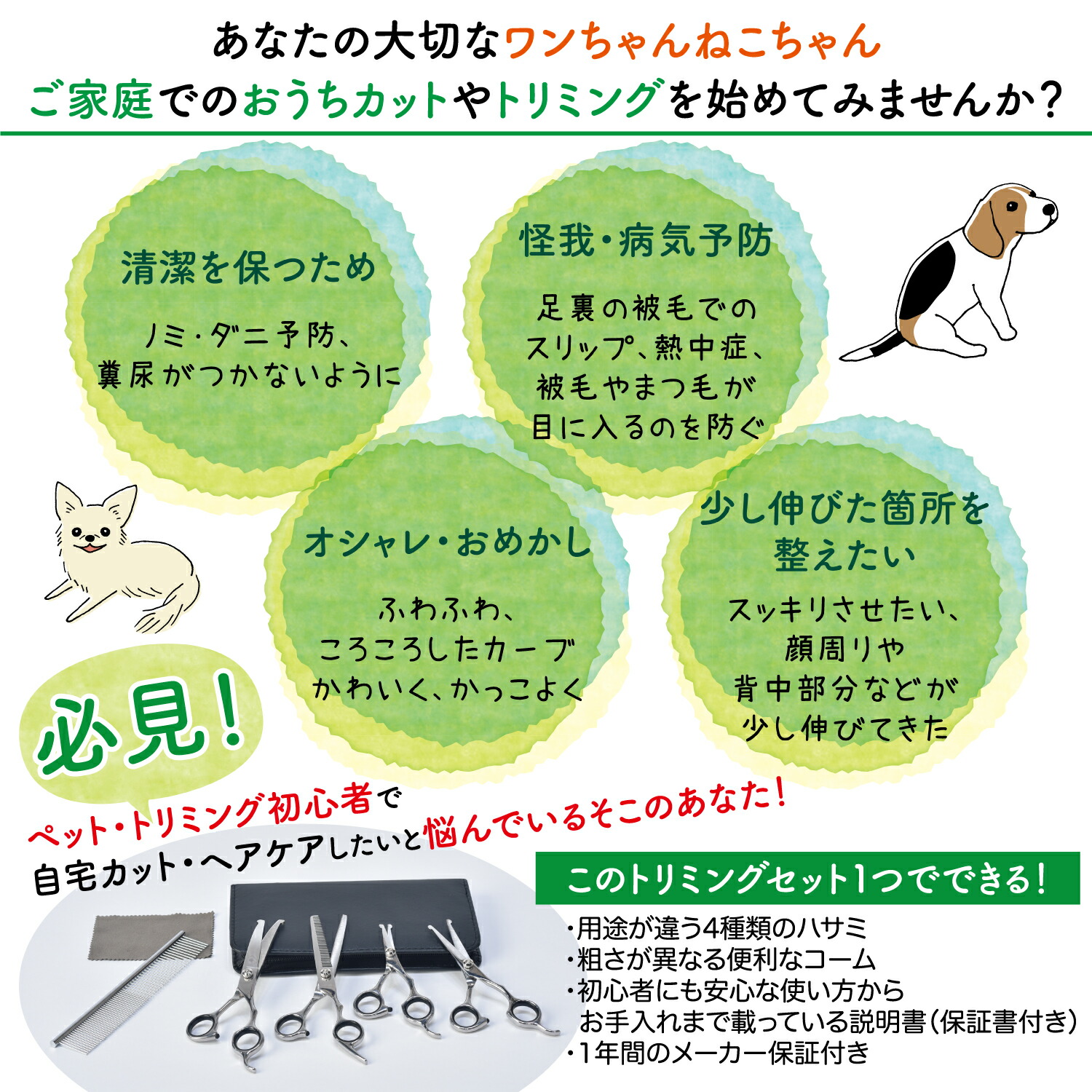 市場 3冠達成 5点セット 初心者 トリミングシザー 安全 ペット トリマー 簡単 プロトリマー監修