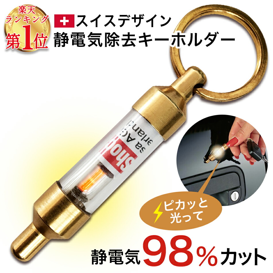 25日限定P5倍＆最大15％offCP】 【正規品 送料無料】 静電気除去