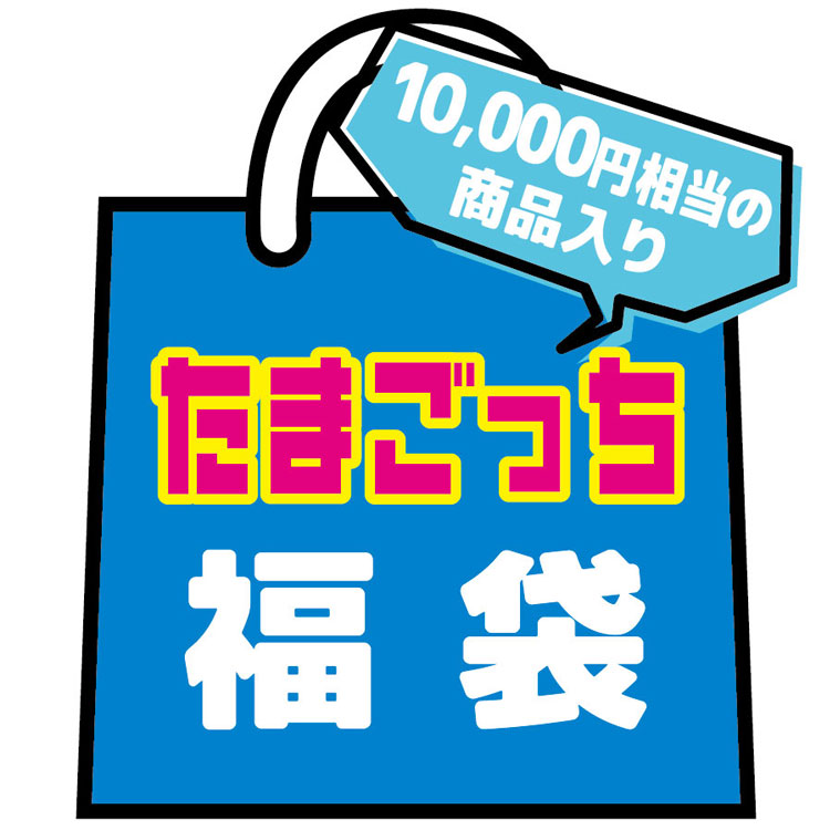 【23日20:00～先着順!最大1,000円OFFクーポン】たまごっち 福袋 ラッピング不可