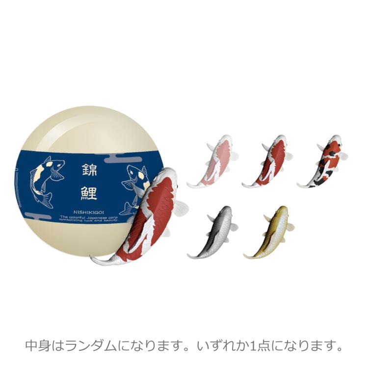楽天市場】【中身はランダム】錦鯉 KPT-1-04 日本の伝統的な縁起物