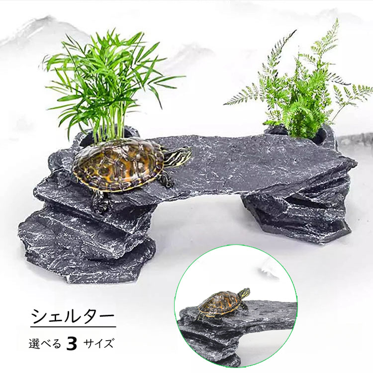 楽天市場】爬虫類 シェルター 隠れ家 4サイズ 最大長さ34cm
