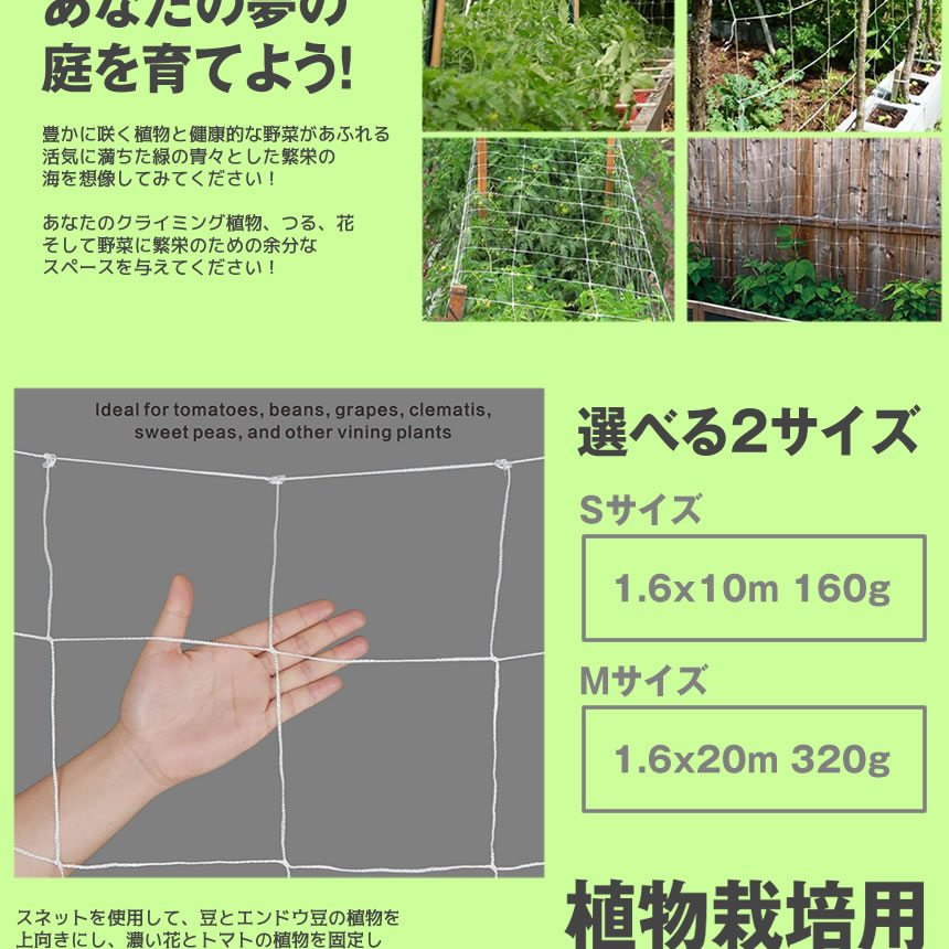 楽天市場 植物栽培用ネット Sサイズ 園芸ネット かんたん つる栽培ネット ビニール 園芸用 ネット 花 トマト 野菜 Shsanets S Lavett