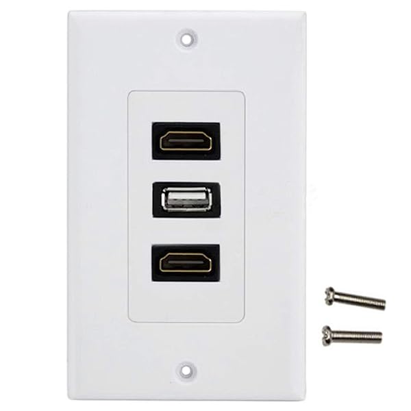 2 x HDMI USB 壁コンセント 2 HDMI および USB 2.0ウォールプレート ソケット 2 ×HDMI USB2.0 3 in 1 埋込式 USB充電 HDMI USBウォールパネル オーディオビデオソケット 送料無料