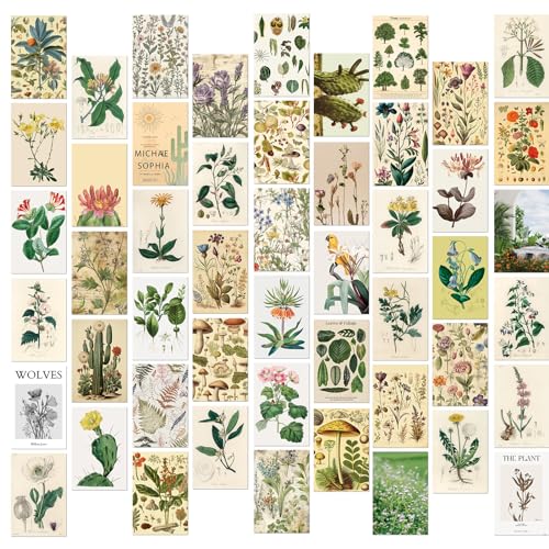 ポストカード 花 植物 メッセージカード 50枚セット 可愛い おしゃれ 葉書 手紙 贈り物 絵はがき 長方形はがき リーティングカード 誕生日カード デイリーはがき（15cm×10cm） 送料無料