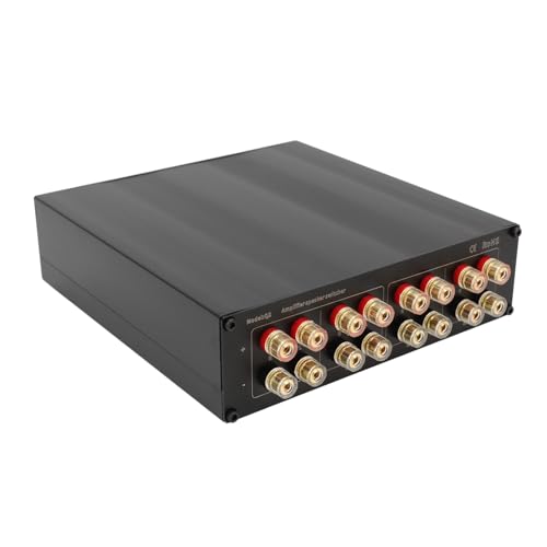 金棒引き セレクター 取り替えっこボックス席 2way 位置付けA/B/Dデジタルチューブアンプを受け支える 金メッキ バナナの木万力 2つのアンプリファイアーを飾り気の無いにうつり変わり
