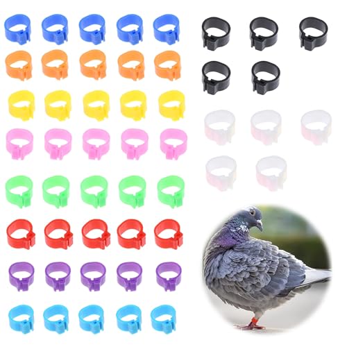足輪 鳥 家禽用足輪 家禽用個体識別リング 8mm 10色 50個入り 鳩 アヒル 鶏足環 割輪 オウムの脚リング レッグリング 家禽脚リング 小鳥の足輪 着脱簡単 再利用可能 鮮やかな色 送料無料