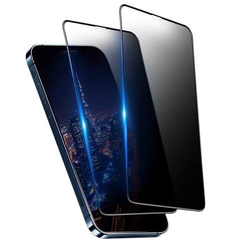 iPhone12 mini ガラスフィルム 覗き見防止 液晶保護 フィルム のぞき見 アイフォン12 mini 強化ガラス のぞき見防止 全面保護 指紋防止 気泡ゼロ 貼り付け簡単 2枚セット 送料無料