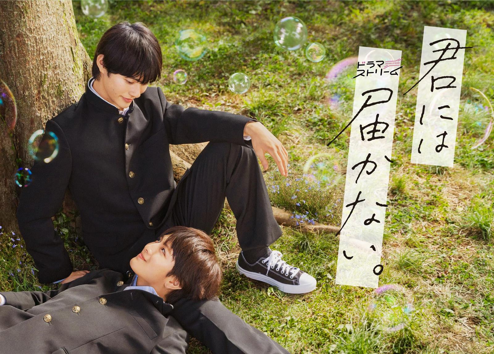 君には届かない。　Blu-ray BOX [Blu-ray]