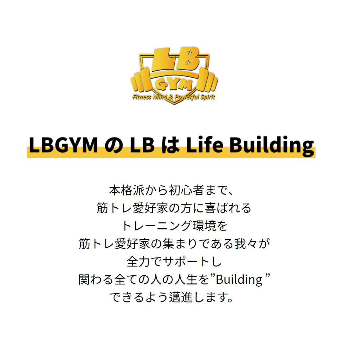 広背筋 トレーニング ケーブルマシン ケーブル 筋トレ 全長 ラットマシン アタッチメント トレーニング器具 3mm 570mm 2本セット 広背筋 トレーニング ケーブルマシン ケーブル 筋トレ 全長 ラットマシン アタッチメント トレーニング器具 3mm 570mm 2本セット