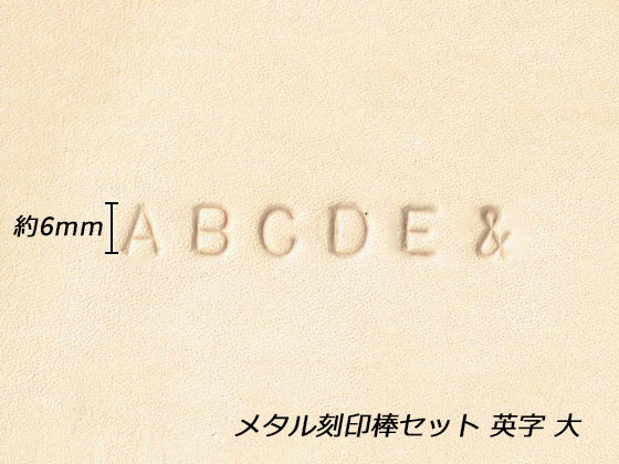 金鉄符号棒切一式アルファベットの文字 太い かれこれ6mm 27根拠 送料無料 Ivan レザー細工刻印 アルファベット 数詞刻印 Vned Org