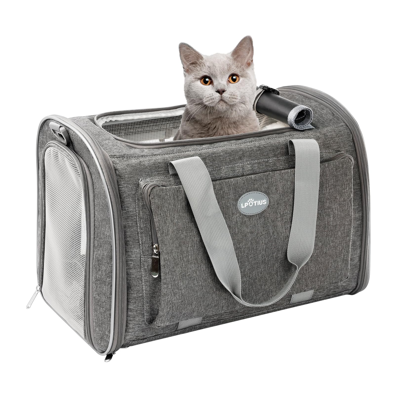 楽天市場】LPOTIUS ペットキャリー バッグ 折り畳み 2way 猫 小型犬
