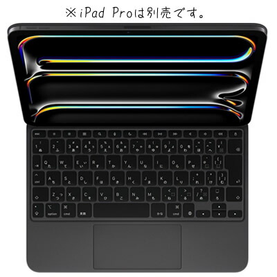 楽天市場】Apple Pencil Pro MX2D3ZA A 【13インチ 11インチ iPad Pro