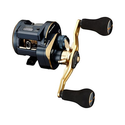 ダイワ daiwa21 ソルティガIC 100PL-DH