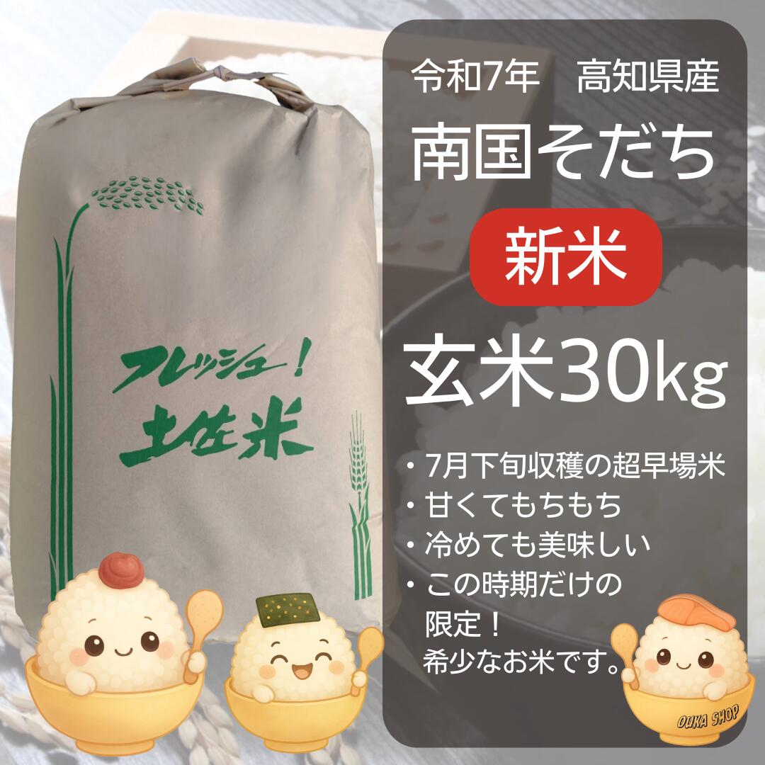楽天市場】2025年産予約 無農薬無肥料「ササニシキ 玄米 30kg