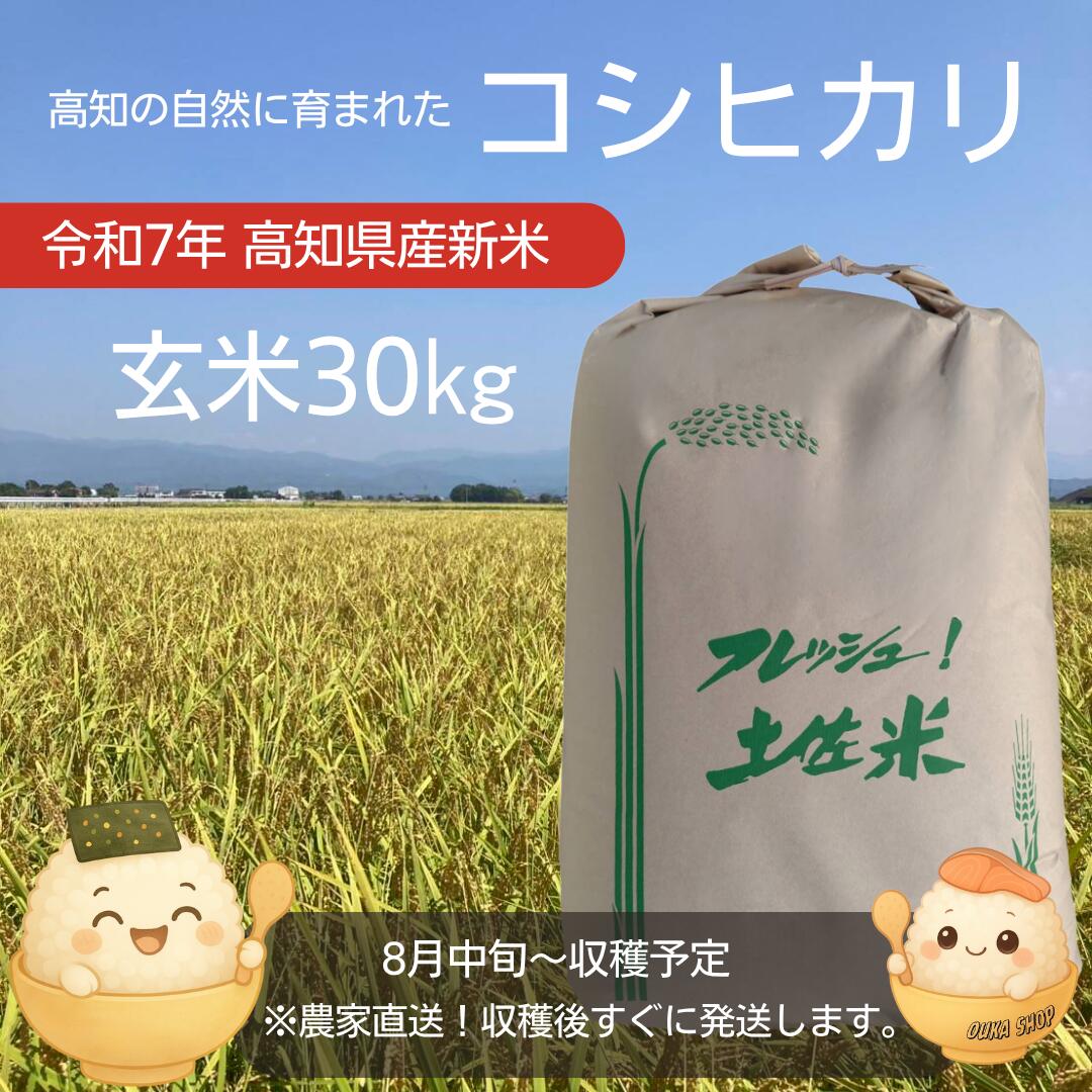 【新米 玄米】 宮城 特別栽培 ひとめぼれ米 30kg ⚫︎環境保全米NO,18 楽天市場】米 特別栽培米 ひとめぼれ 一等米 玄米 30Kg 登米
