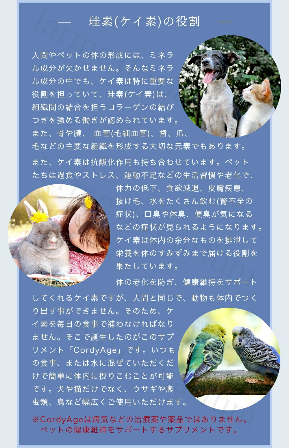 一部予約 冬虫夏草 犬用品 シニア 老猫 老犬 アップ 気力 高める 元気度 兎 うさぎ 健康食品 整える 免疫 免疫力 健康維持 猫用サプリペット 犬用サプリメント 3本 1本付き 合計4本 福袋 子実体 シリカ コルディアージュ 1か月分75ml 珪素 国内製造 植物性