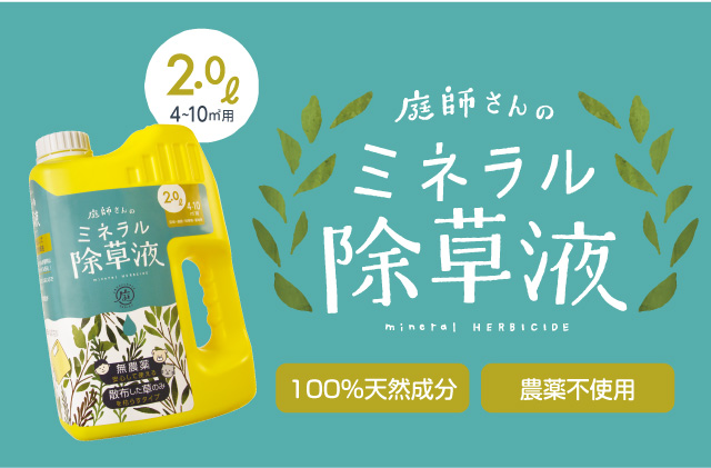 全品25円offクーポン対象 ドリーム 庭師さんのミネラル除草液 2l 3本セット 除草剤 無農薬 人畜無害 液体 雑草駆除剤 雑草対策 子供やペットにも安心 安全 非農耕地用 ポイント消化 Sermus Es