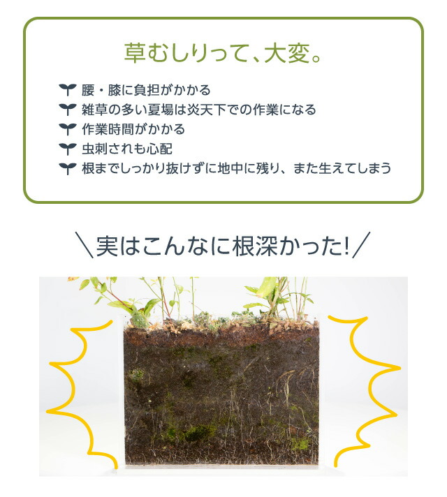 全品25円offクーポン対象 ドリーム 庭師さんのミネラル除草液 2l 3本セット 除草剤 無農薬 人畜無害 液体 雑草駆除剤 雑草対策 子供やペットにも安心 安全 非農耕地用 ポイント消化 Sermus Es