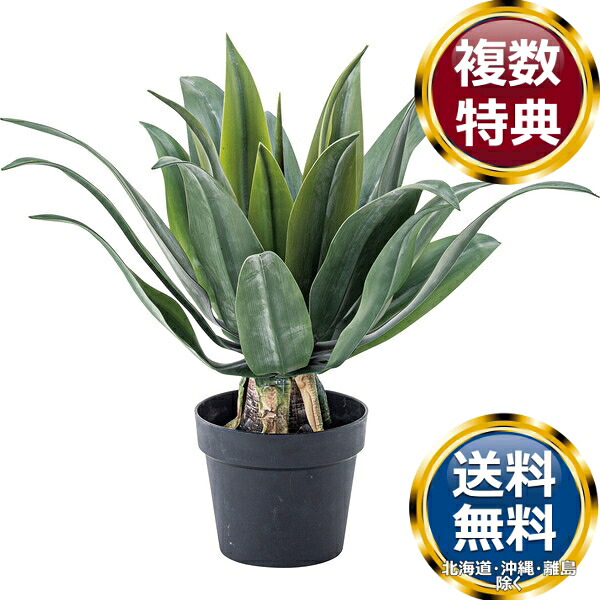 東谷 フェイクグリーン アガベ 観葉植物 観葉植物 送料無料 ブランド 洋食器 高級 おしゃれ かわいい 豪華 モダン 人気 おすすめ 結婚 引き出物 ギフト
