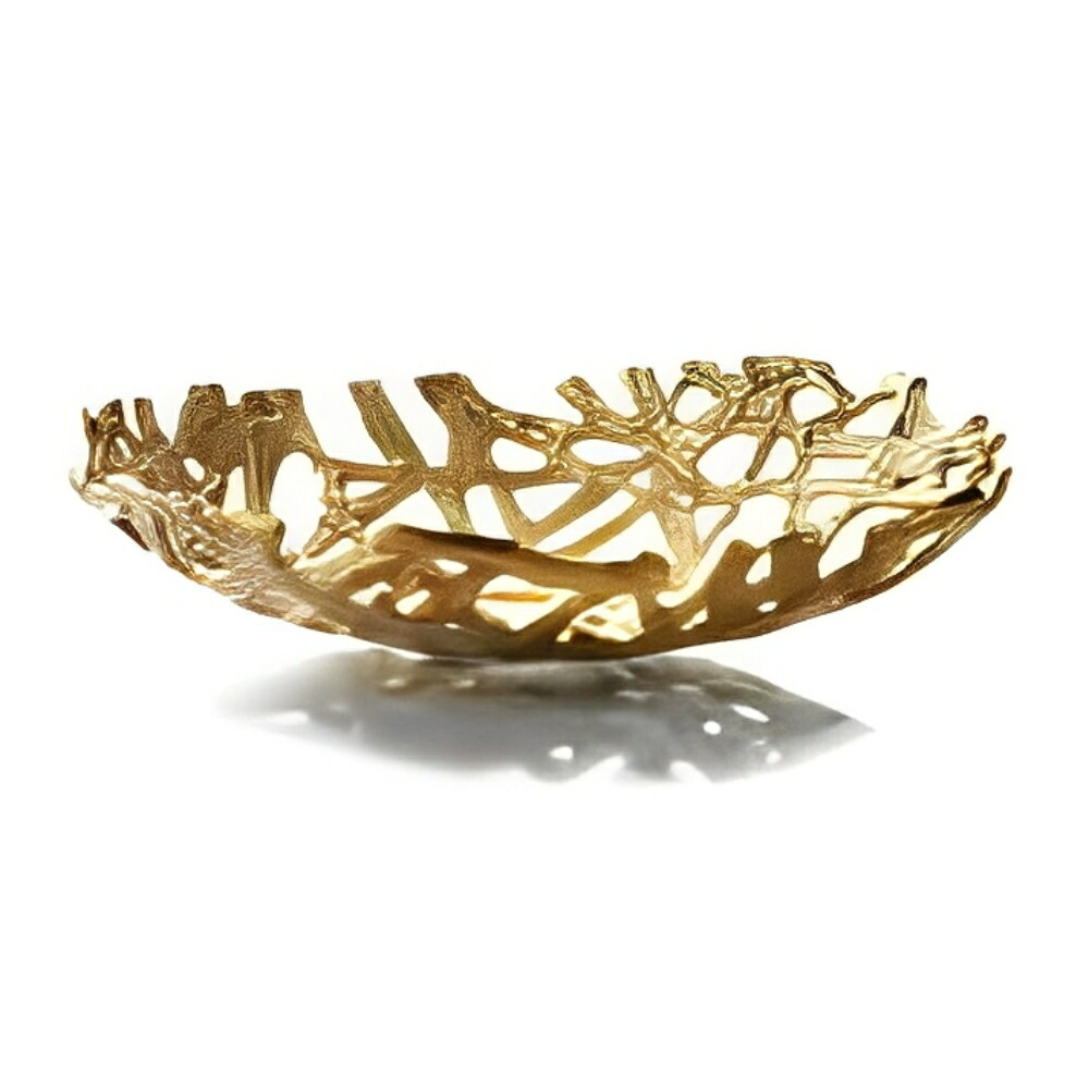 ジーハー Z-display bowl どんぶり鉢開びゃく 貨物輸送無料 ブランド名 領域 旅人宿 食べ物屋 茶房 御勤め用 ご身寄り 表現スタイル勝手もと 勝手もと切り換える 御前上等 今めかしい 晴れ晴れしい 今めかしいおすすめ 一般受け