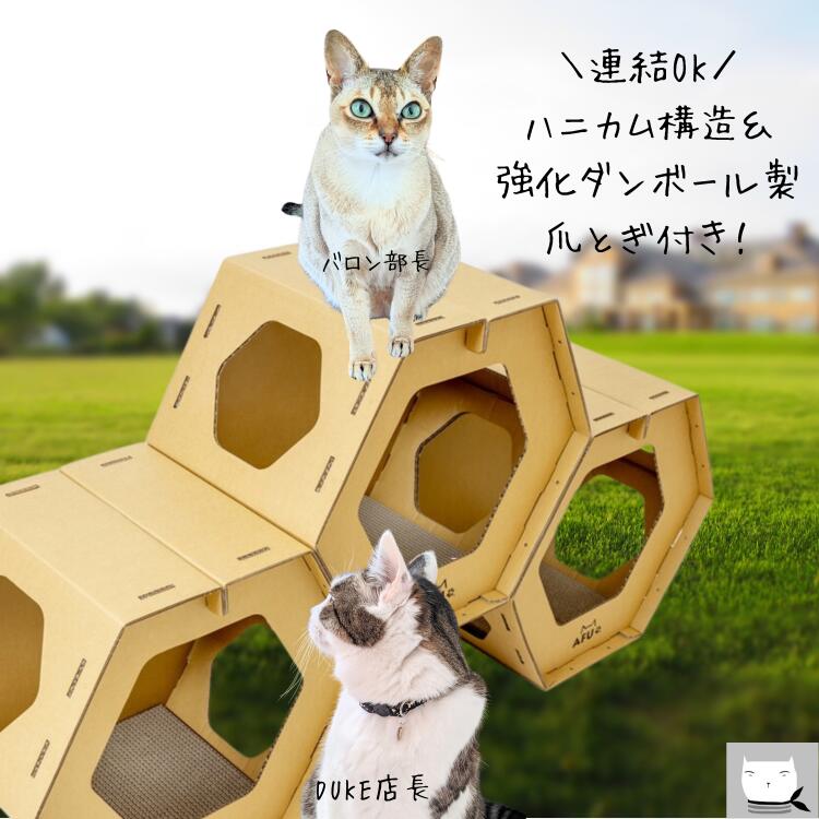 大人女性の imgrc0086530230.jpg 爪とぎ
