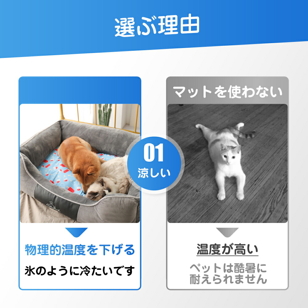 完全受注生産 ペット用ひんやり石マット 純正アダプター付 その他 Rspg Spectrum Eu