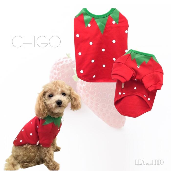 犬服 小型犬用 デニム・赤色刺繍 楽天市場】いちご刺繍デニムジャケット ドッグウエア 小型犬 犬